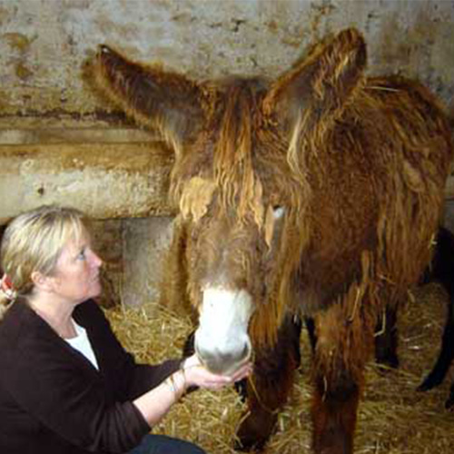 Portrait de l’éleveuse Les baudets du Breuil