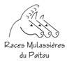 races_mulassieres_du_poitou