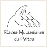 races-mulassieres-du-poitou