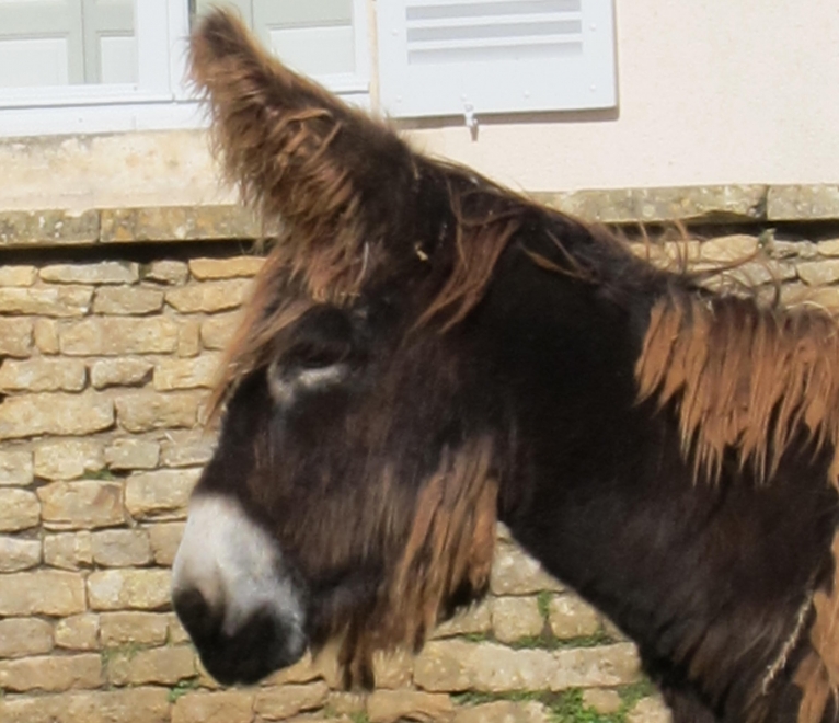 Egée du Breuil