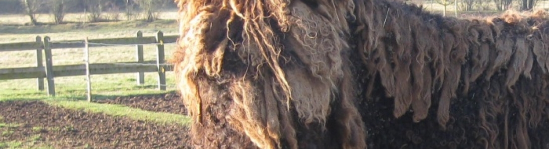 Uhlan de Villiers