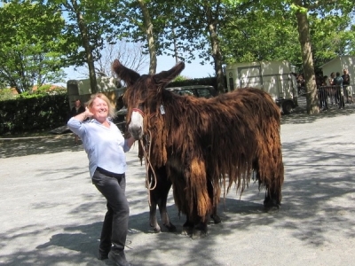 Concours de Melle – Samedi 16 juillet 2022