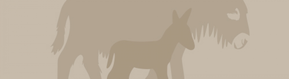 Loustic du Genêt