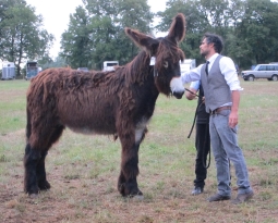 2024 Dampierre sur Boutonne’s contest