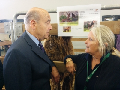 Urielle du Breuil- Aventures au Salon de l’Agriculture 2