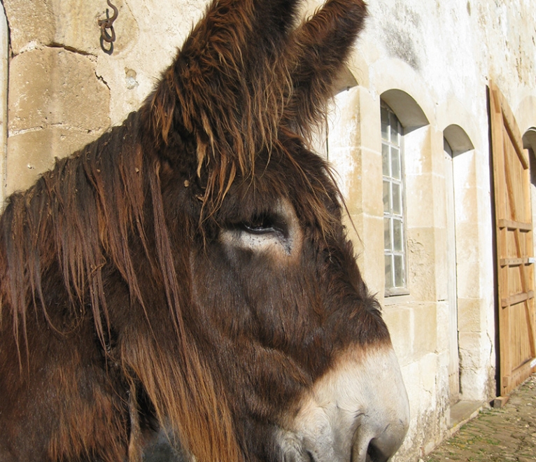 Ora du Breuil
